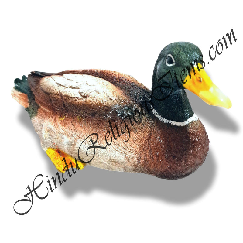 Duck(Batak) Animal Fiber Swarup / Khilona