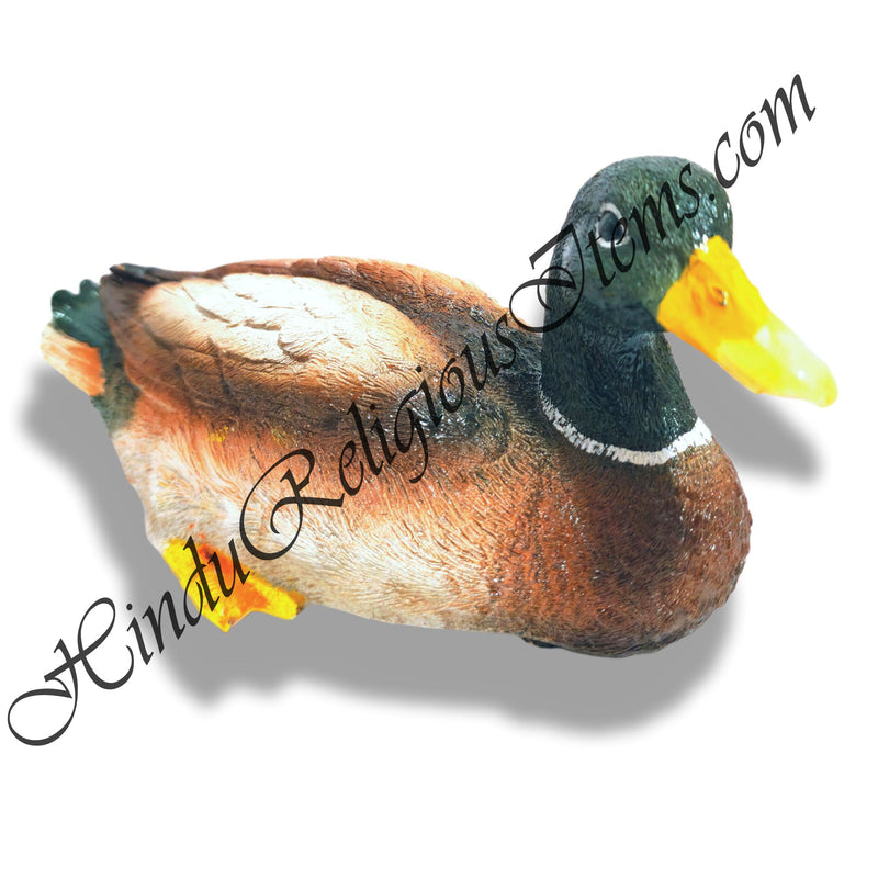 Duck(Batak) Animal Fiber Swarup / Khilona