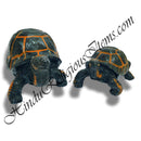 Tortoise Jalchar Fiber Khilona / Kachabo