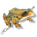 Frog jalchar fiber Khilona/ Dedka