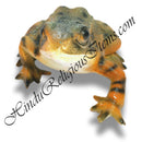 Frog jalchar fiber Khilona/ Dedka