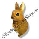 Rabbit Animal Fiber Swarup / Khilona