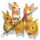 Rabbit Animal Fiber Swarup / Khilona