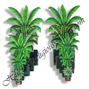 Thick wood Banana Tree Cut Out Set