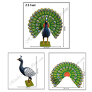 Peacock (Mor) Animal Fiber Swarup / Khilona (Copy)