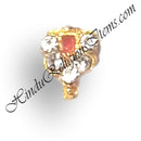 Vallabhi Tilak with Diamond