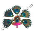 Premium Quality Various Shringar With Morpankh Badlai Ni Chamak