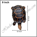 Tortoise Jalchar Fiber Khilona / Kachabo (Copy)