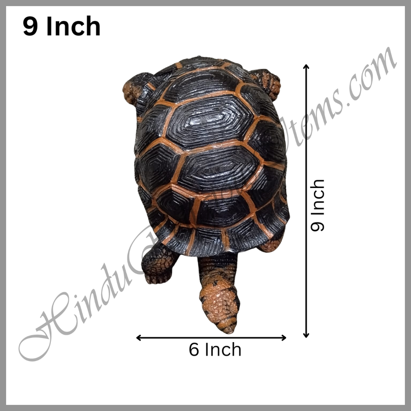 Tortoise Jalchar Fiber Khilona / Kachabo