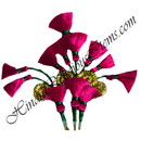 Resham Tipara & Kalgi With Golden Jhari