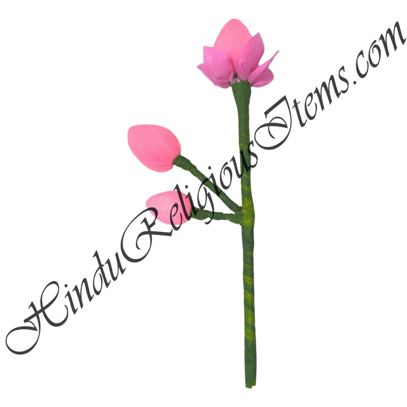 Premium Pink Kamal Chadi