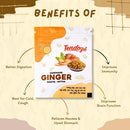 Handmade Khatta Mittha Ginger Bites