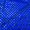 Saga Silk With Tikli Work Fabric/ Kapad [SSTW]