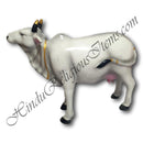 Plain Colour Gaay (Cow) Animal Fiber Swarup / Khilona